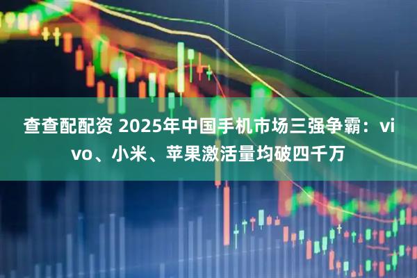 查查配配资 2025年中国手机市场三强争霸：vivo、小米、苹果激活量均破四千万